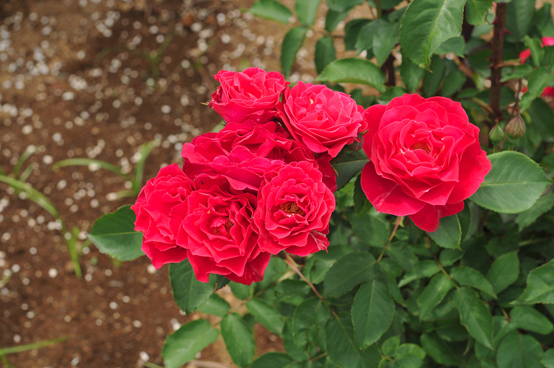 image0354
