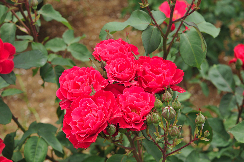 image0355