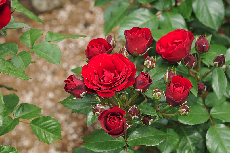 image0356