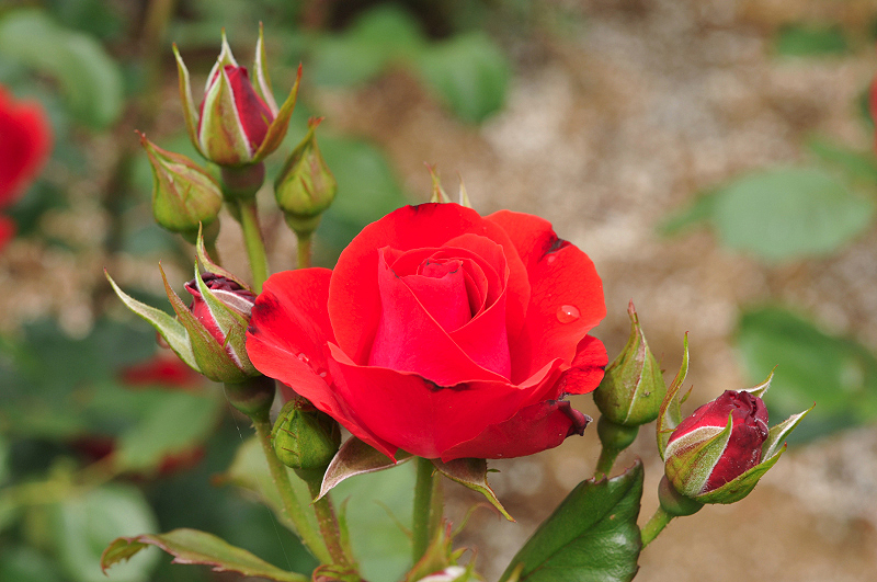 image0357