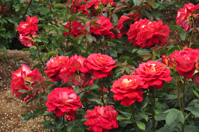 image0359