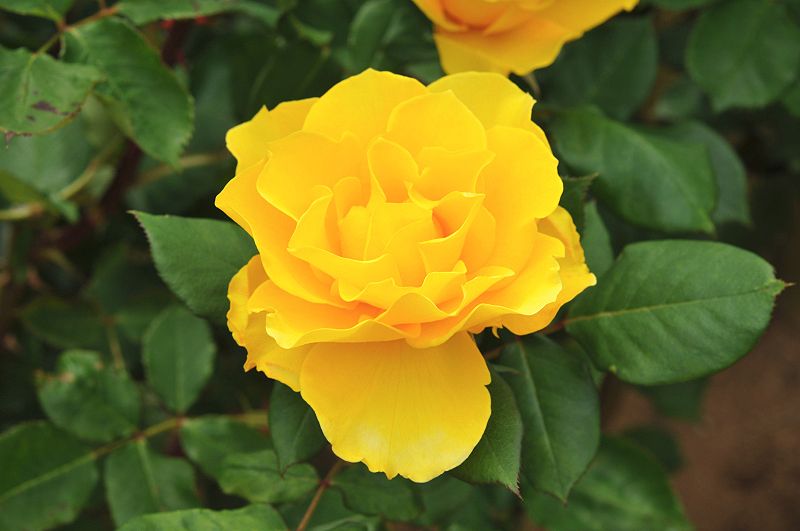 image0360