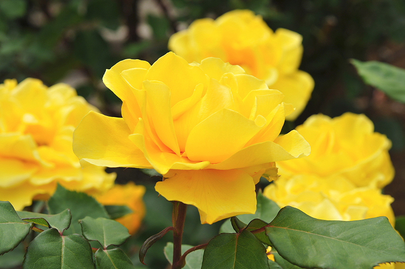 image0361