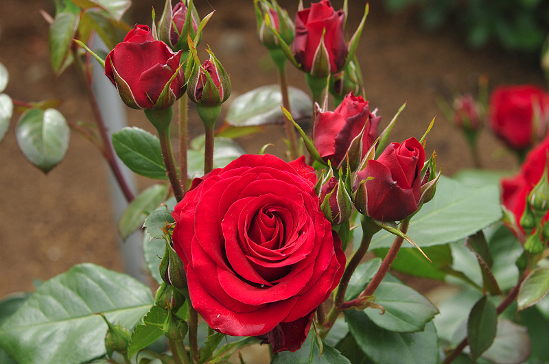 image0364