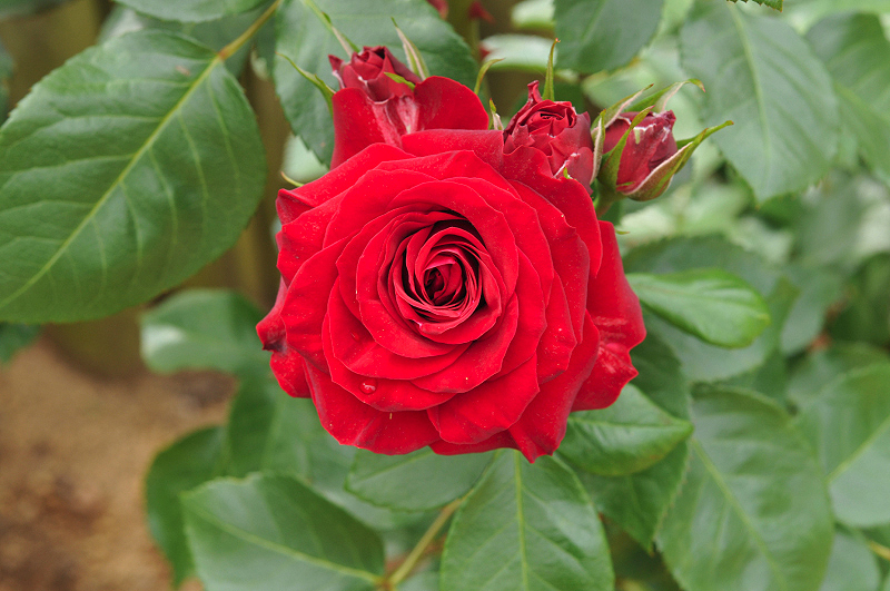 image0365