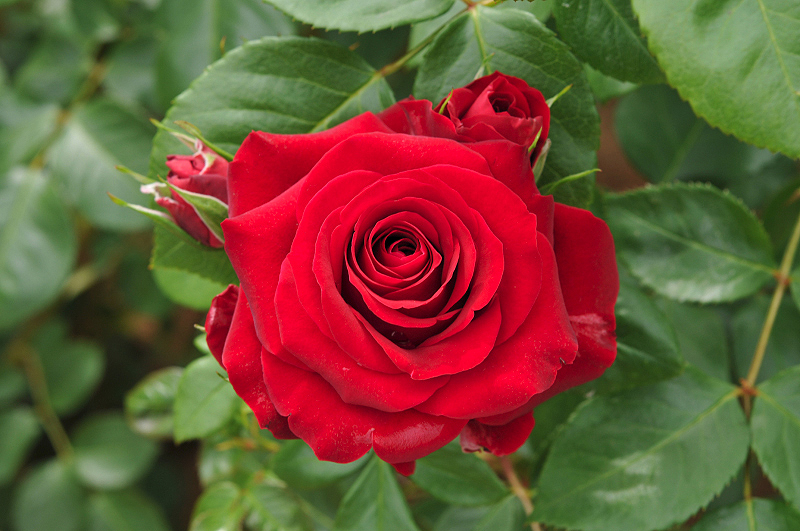 image0366