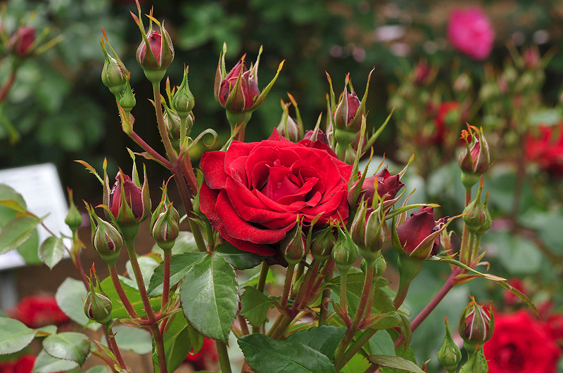 image0367
