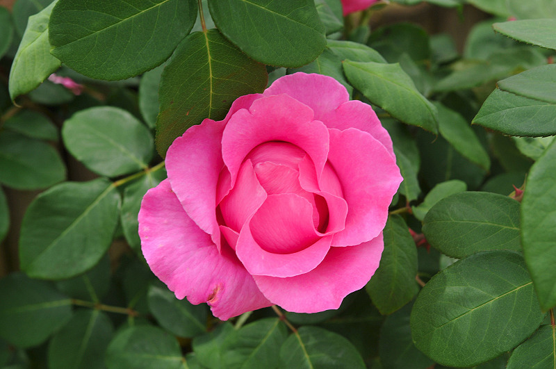 image0368