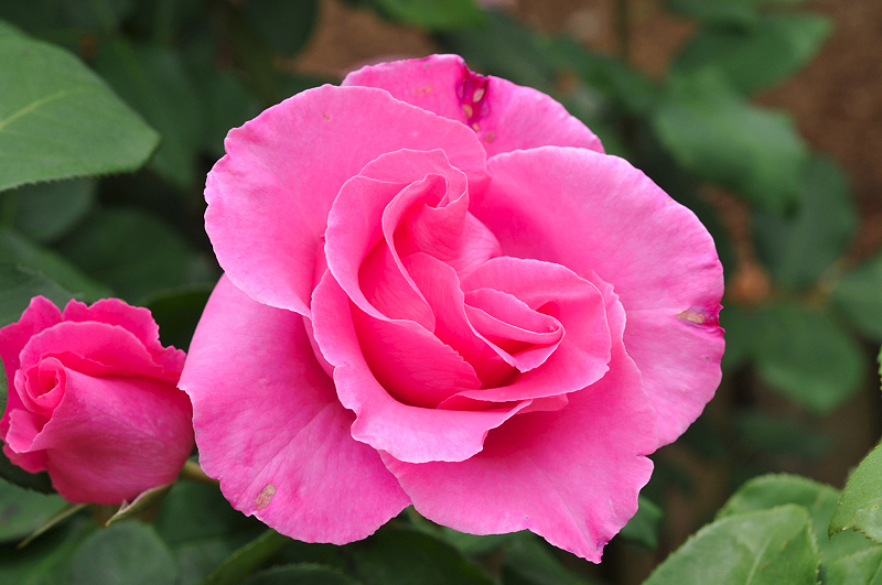 image0369