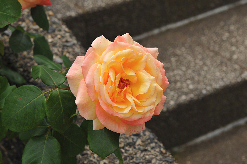 image0372