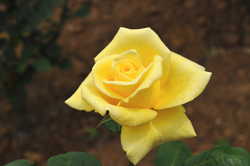 image0383