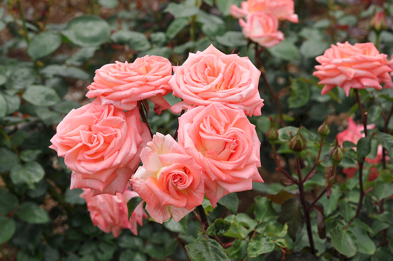 image0392