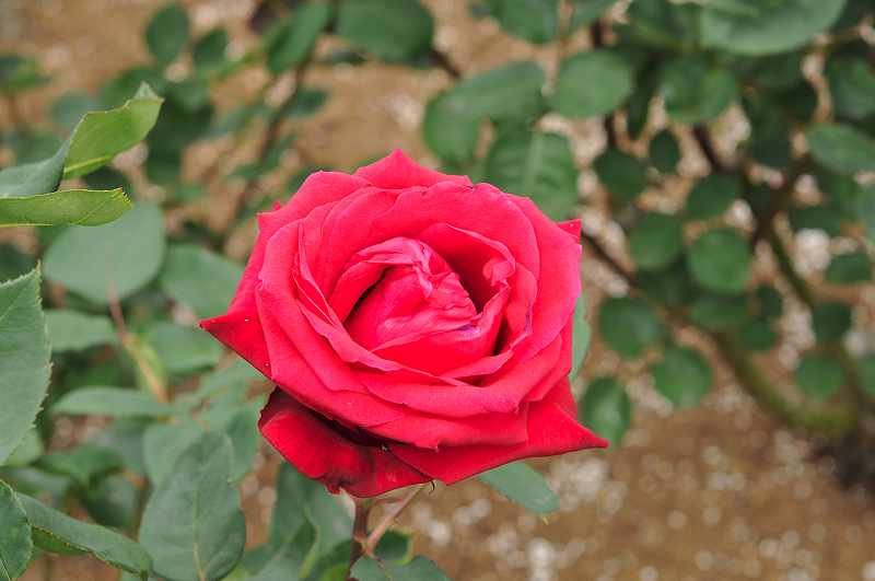 image0396