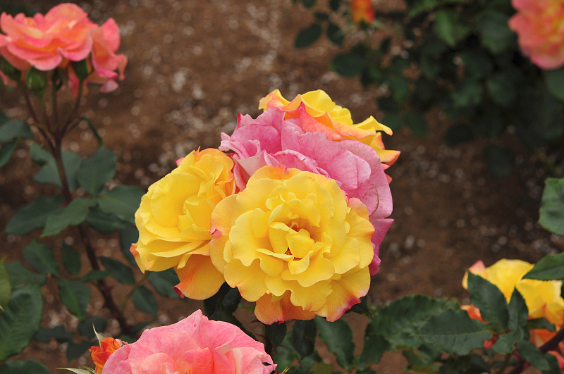 image0400