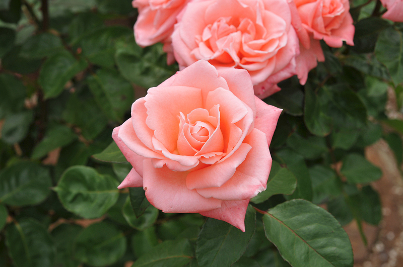 image0402