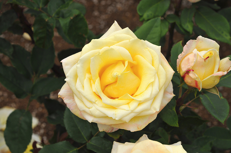 image0405