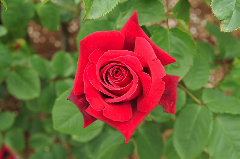 image0410