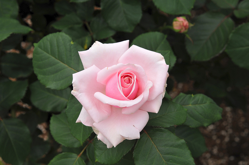 image0412