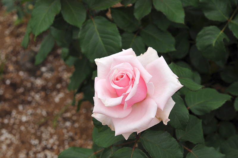 image0413