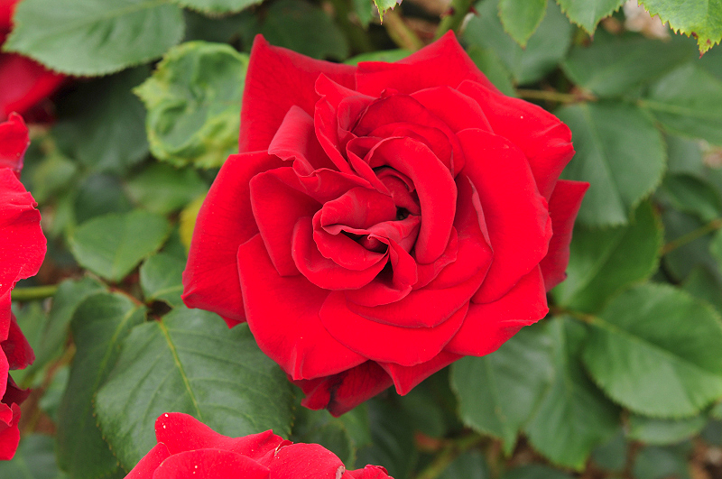 image0417