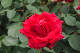 image0160