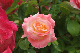 image0161