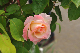 image0162