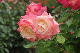 image0163