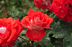 image0167