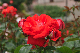 image0168