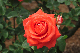 image0169