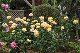 image0170