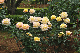 image0171