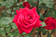 image0172