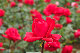 image0173