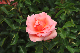 image0175