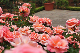 image0178