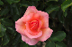 image0179