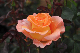 image0180