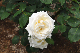 image0182