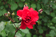 image0184