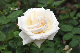 image0185