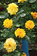 image0186