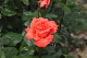image0193