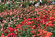 image0197