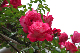 image0199