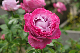 image0200