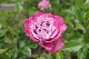 image0201