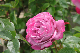 image0204