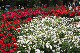 image0210